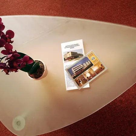 Institut 3* 科希策