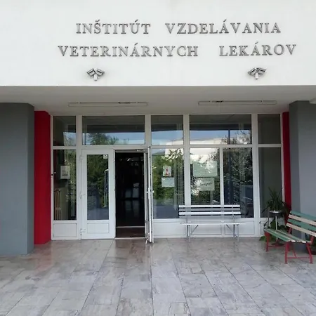 Institut