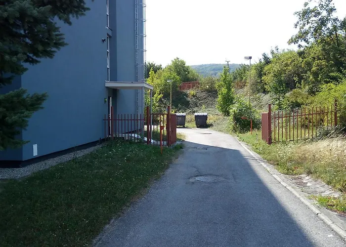 Institut
